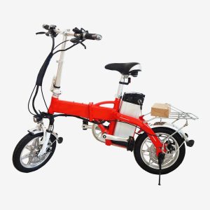 Bio Electric Scooter